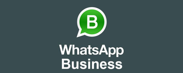 Whatsapp Business per Aziende come funziona?