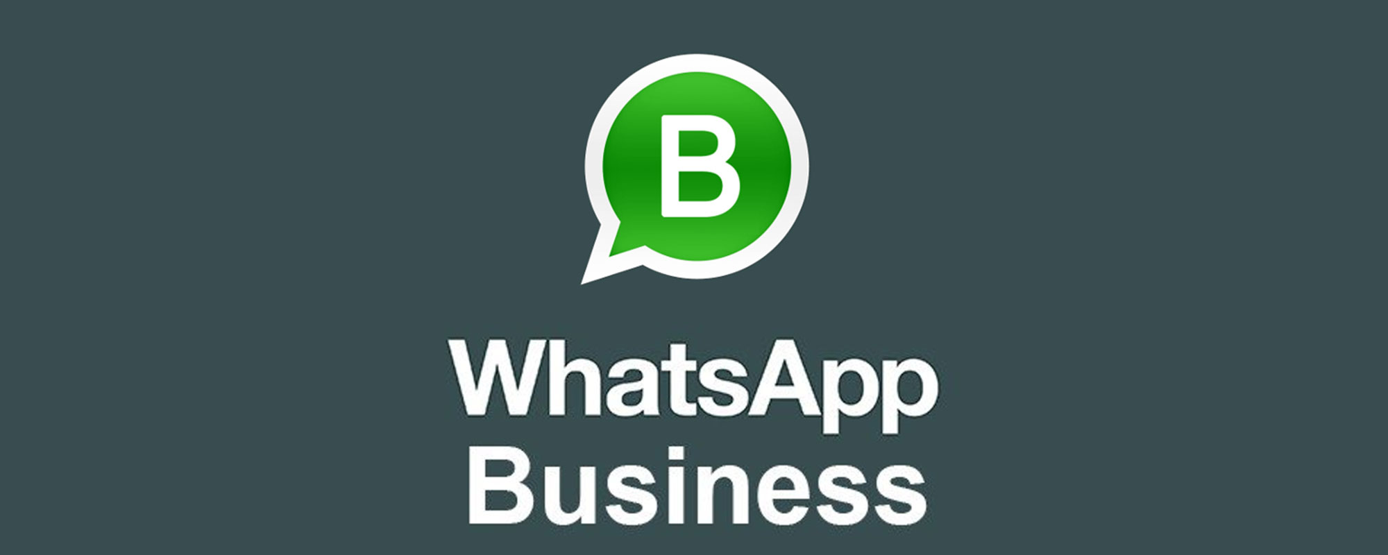 Whatsapp Business per Aziende come funziona?