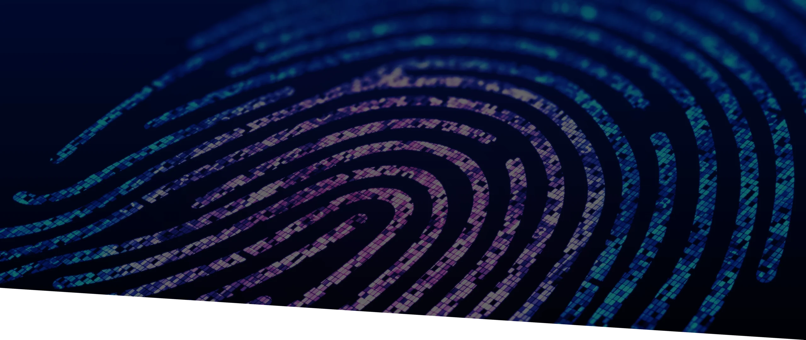 <span class="gradient-text-animated">sfidiamo</span> l'ordinario