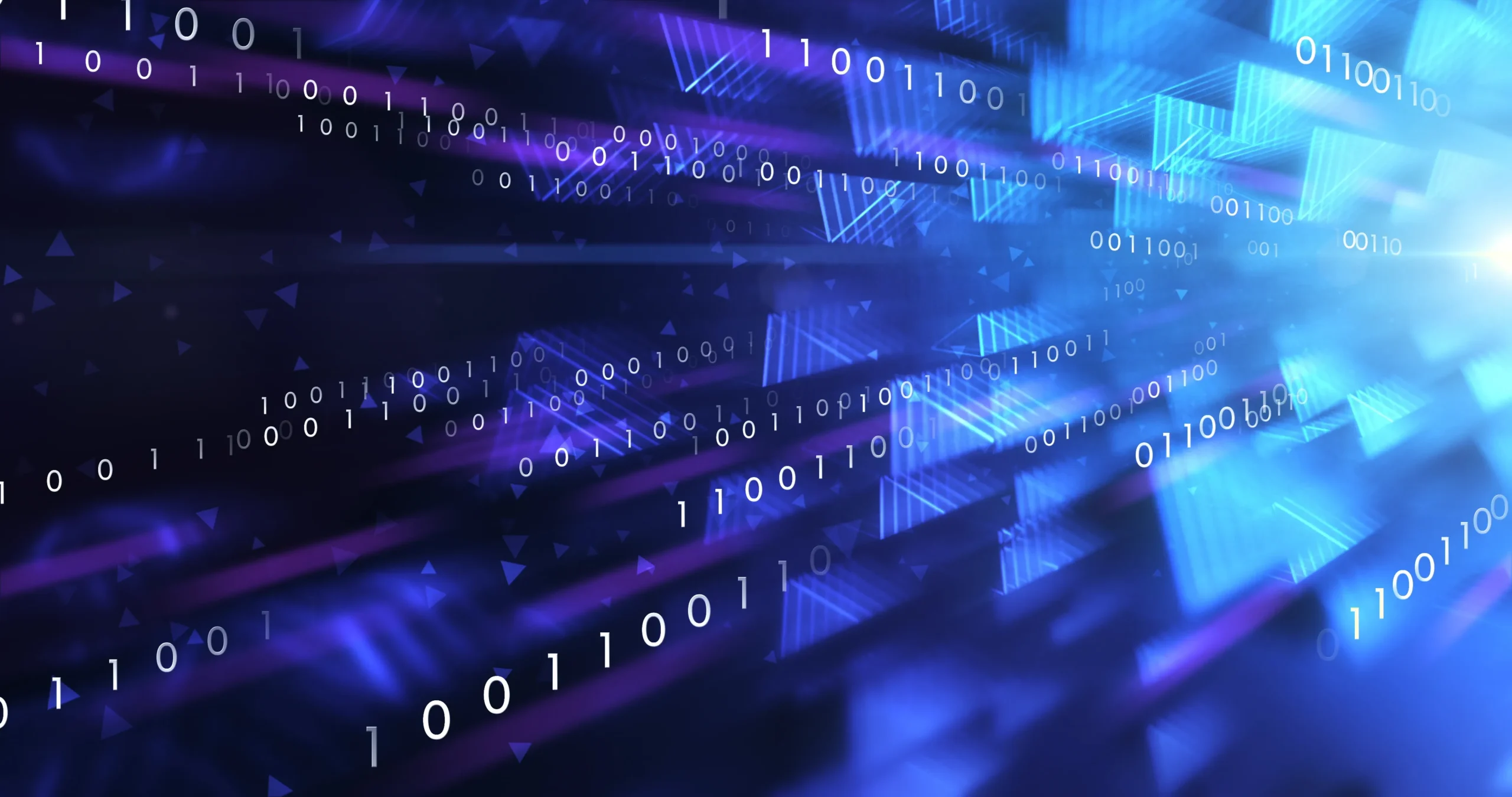 <span class="gradient-text-animated">ORGANIZZIAMO</span> INFORMAZIONI